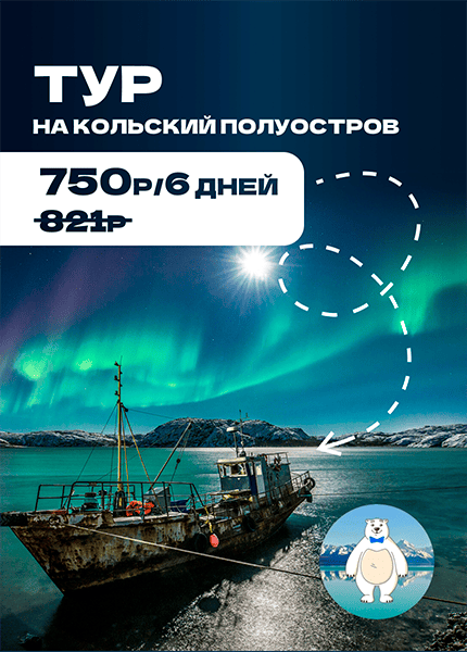 Белый мишка