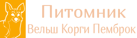 Питомник с корги: для взрослых от 35р, бесплатно для детей