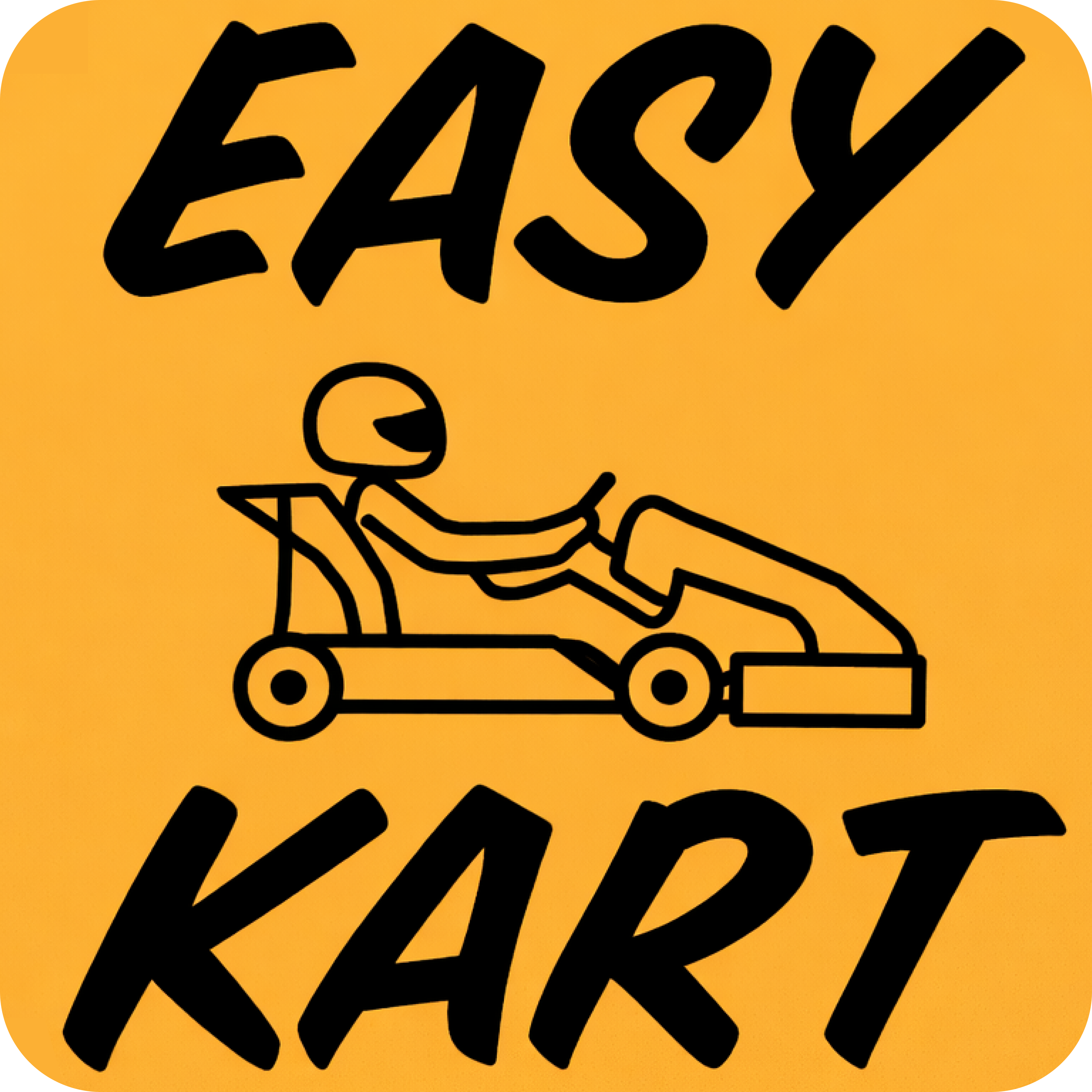 Крытый картинг за 15р в "Easy Kart"