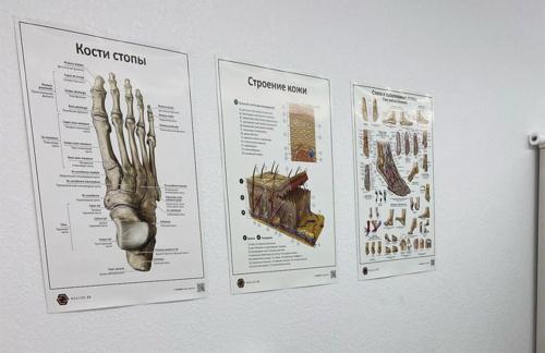 Услуги специалиста-подолога Анастасии Лукьянович со скидкой до 40% в Гродно