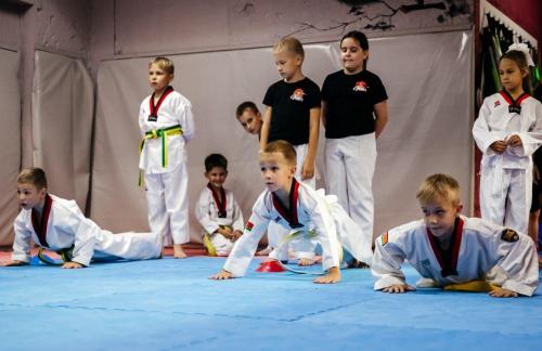 Занятия по таэквондо от 8р в "Taekwondo Club Vektor"